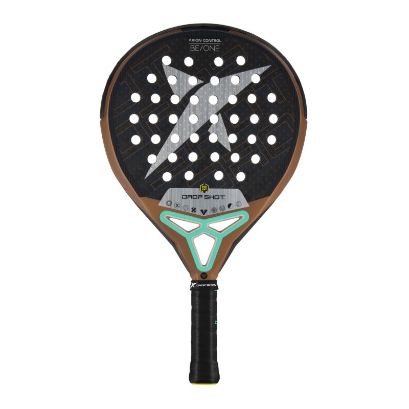 PALETA AXION CONTROL